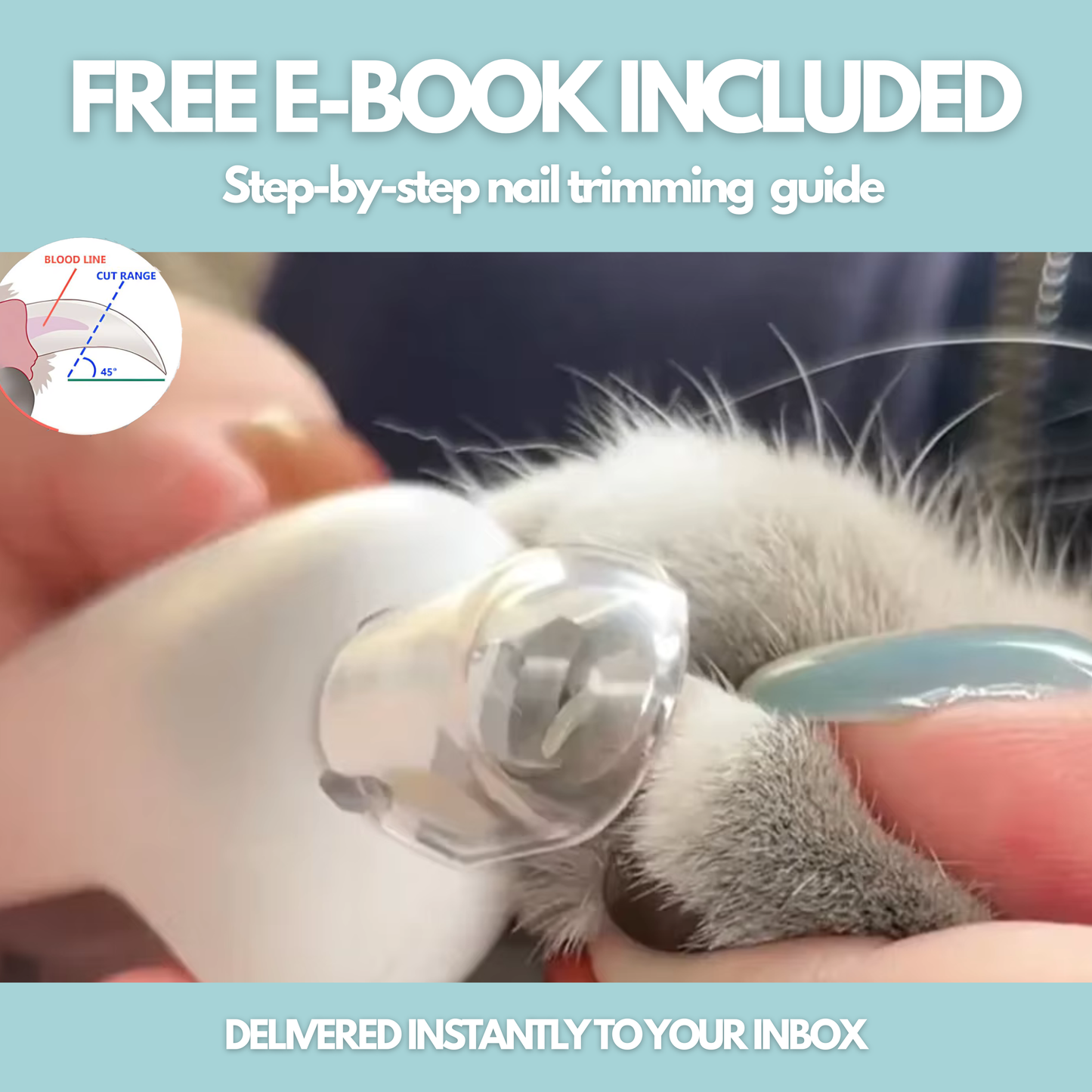 GENTLEGROOM BY OVOPATH